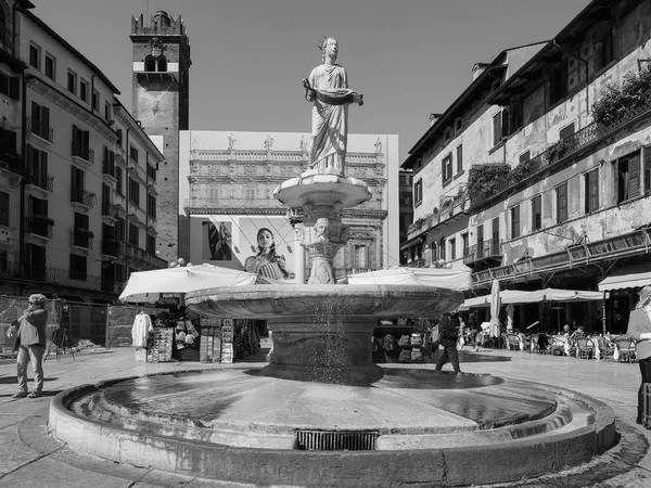 Fontana Madonna Piazza delle Erbe Veronában fekete-fehér — Stock Fotó