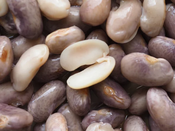 Frijoles carmesí legumbres verduras alimentos — Foto de Stock