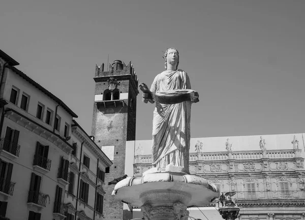 Madonna Fontana w Piazza Delle Erbe w Weronie czarno-białe — Zdjęcie stockowe