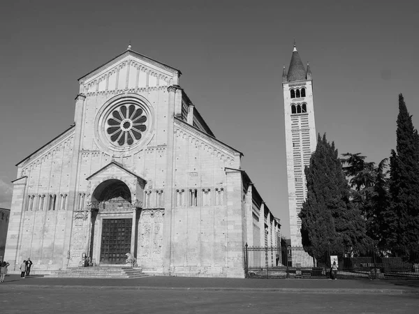 黒と白のヴェローナのサン ・ ゼーノ聖堂 — ストック写真
