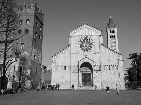 Bazilica San Zeno din Verona alb-negru — Fotografie, imagine de stoc