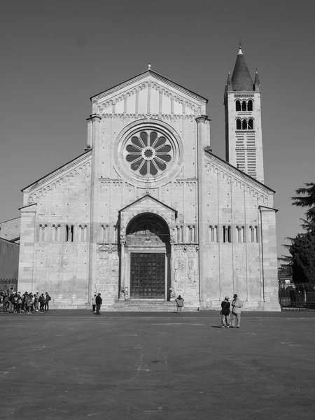 Bazilika San Zeno v Verona černá a bílá — Stock fotografie