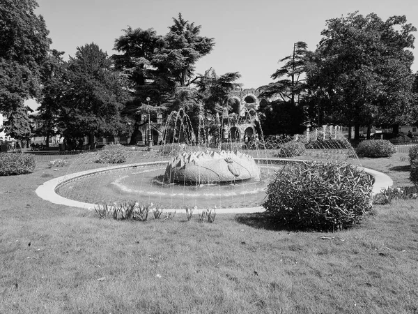 Площа Бра фонтан в Вероні чорно-білі — стокове фото
