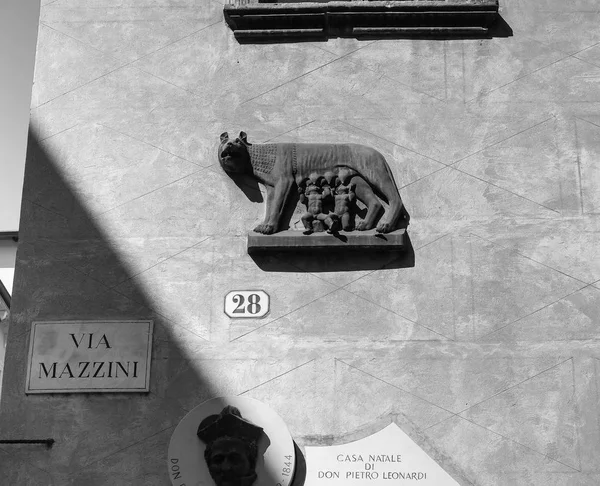 Lupo Capitolino con Romolo e Remo a Verona in bianco e nero — Foto Stock
