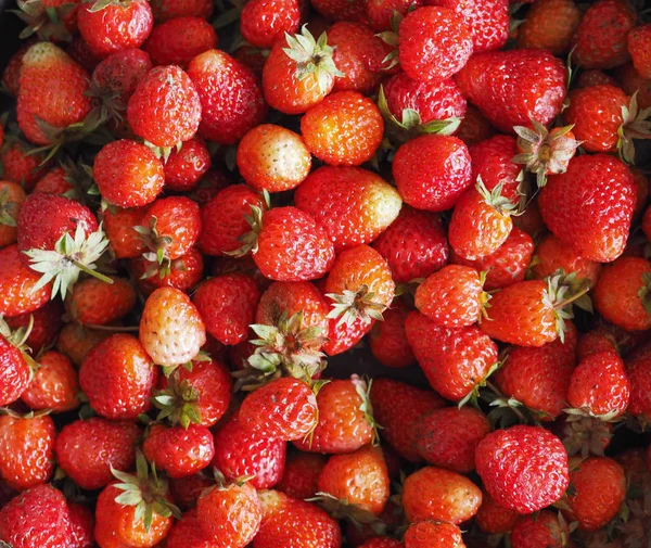 Jordgubb frukt mat — Stockfoto