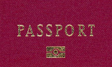 ePassport (elektronik pasaport)