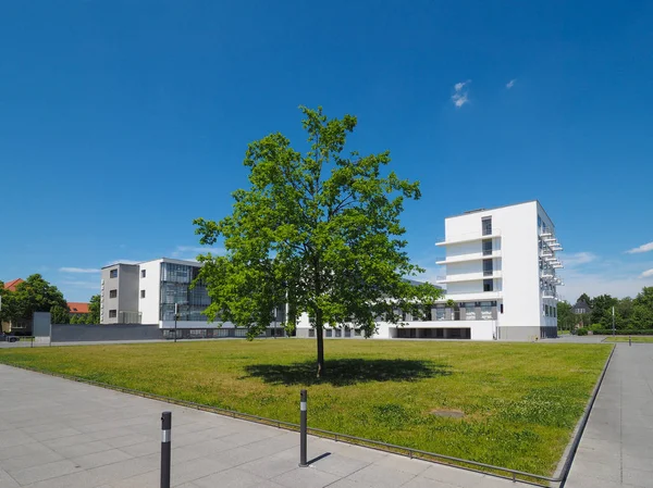 Bauhaus Dessau 'da. — Stok fotoğraf