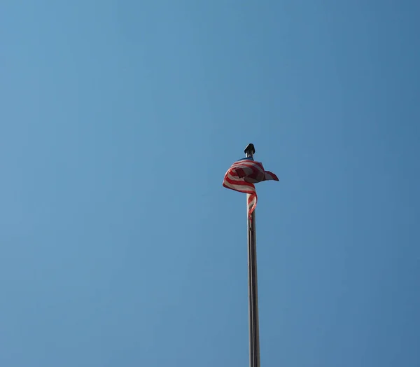 Mavi gökyüzü üzerinde Amerika Birleşik Devletleri Amerikan Bayrağı — Stok fotoğraf
