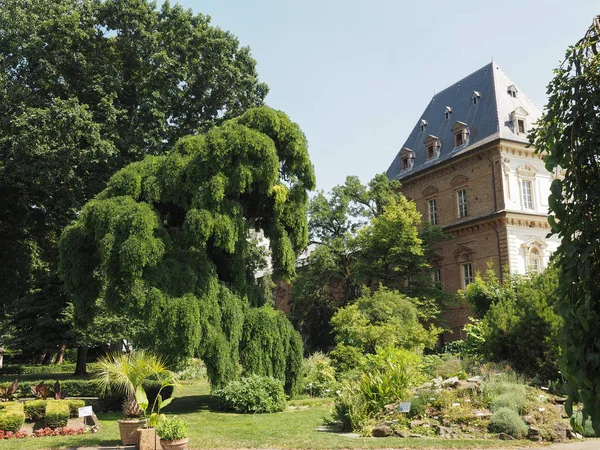 Botanical Gardens in Turin — Stock Photo, Image