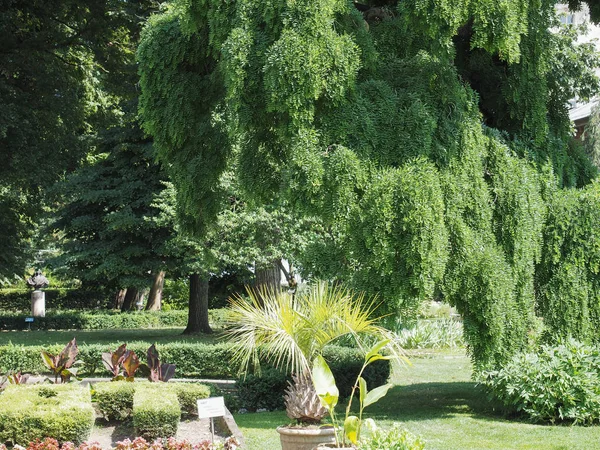 Jardines Botánicos de Turín — Foto de Stock