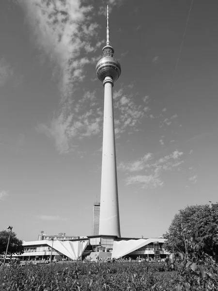 Fernsehturm (televizní věž) v Berlíně černobíle — Stock fotografie
