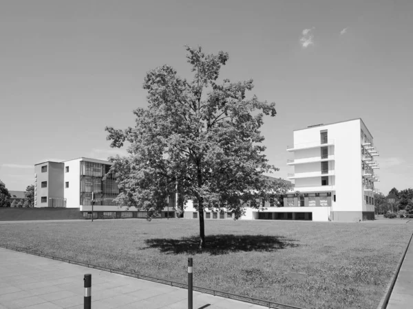 Bauhaus in Dessau in black and white — Stock Photo, Image