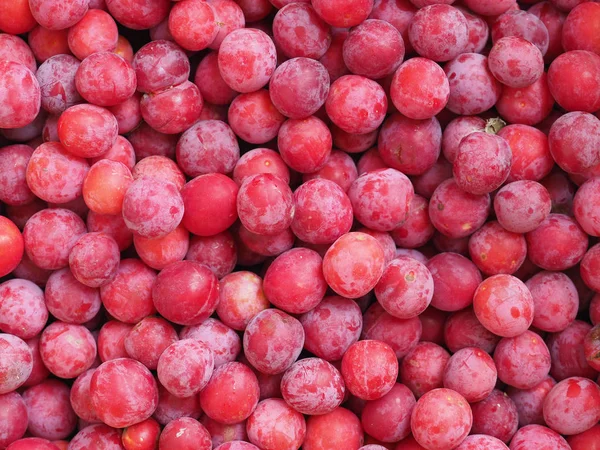 Fruta de ciruela fondo de alimentos — Foto de Stock