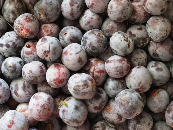 Fruta de ciruela fondo de alimentos — Foto de Stock