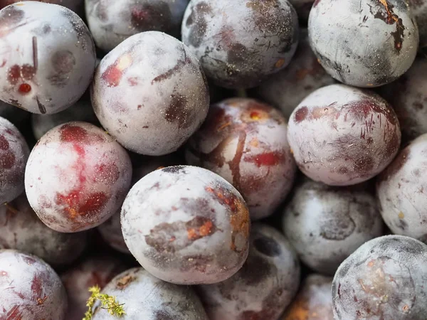 Fruta de ciruela fondo de alimentos —  Fotos de Stock