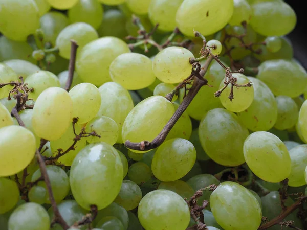 Uva bianca frutta cibo — Foto Stock