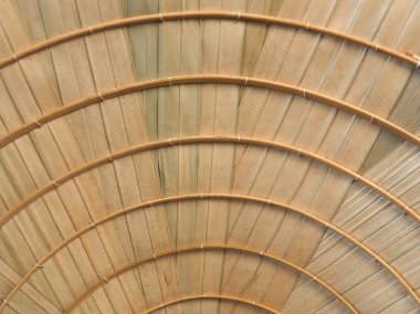 kahverengi saman doku arka plan