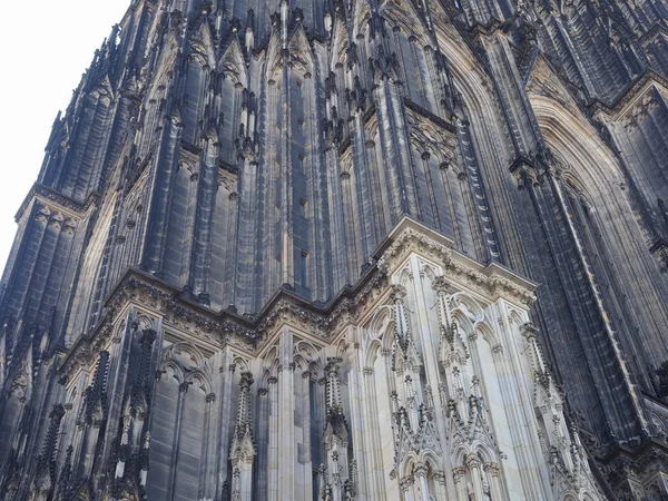 Собор Святого Петра в Кёльне — стоковое фото