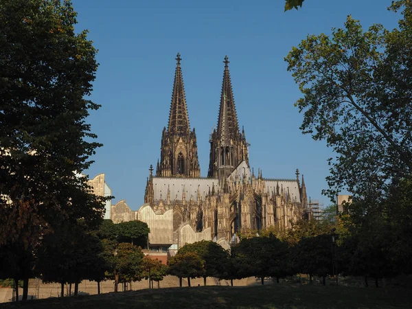 Catedral de São Pedro em Koeln — Fotografia de Stock