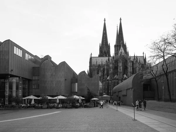 Museu Ludwig em Koeln — Fotografia de Stock