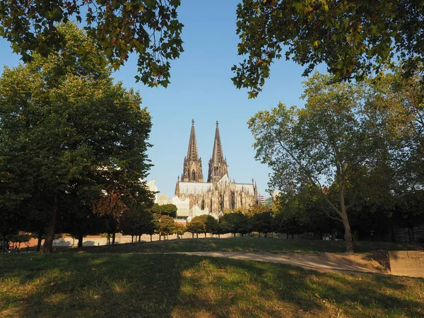 Katedra św Piotra w Koeln — Zdjęcie stockowe