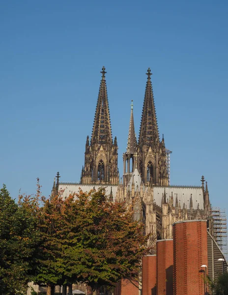 St Peter Cathedral in Koeln — Stock Photo, Image