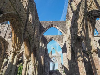 Tintern Manastırı (Abaty Tyndyrn) Tintern içinde