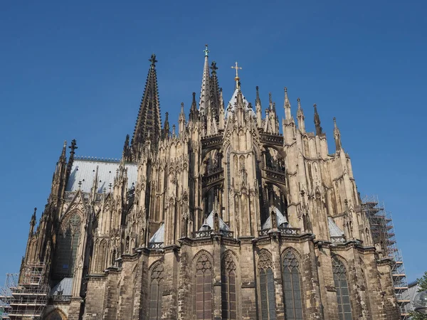 Cattedrale di San Pietro a Koeln — Foto Stock