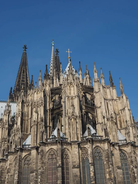 Koeln'deki Aziz Peter Katedrali — Stok fotoğraf