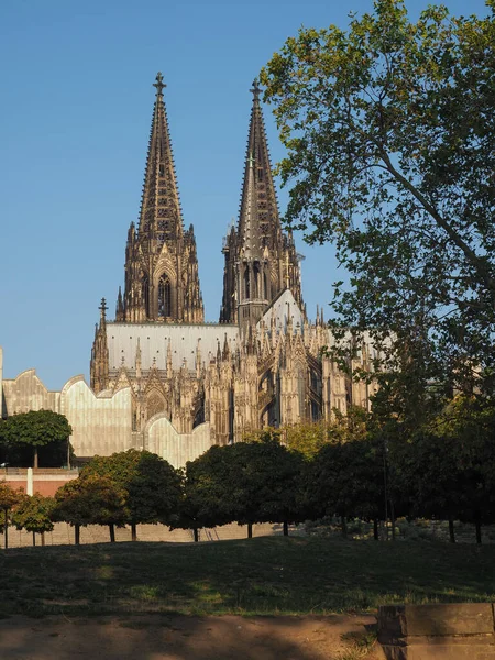 Koeln'deki Aziz Peter Katedrali — Stok fotoğraf