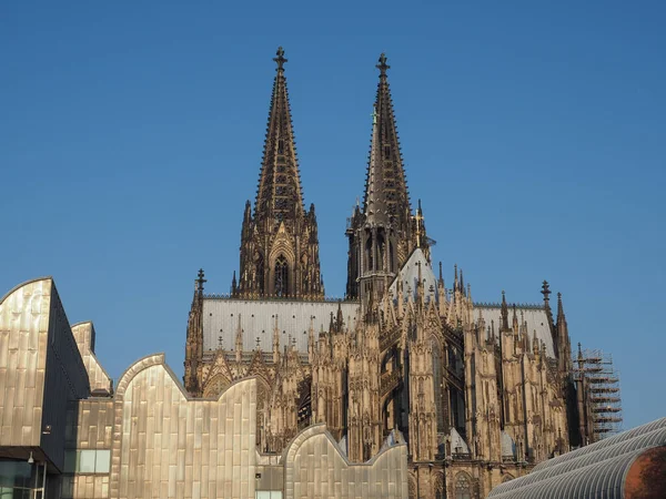 Petrusdom in Köln — Stockfoto