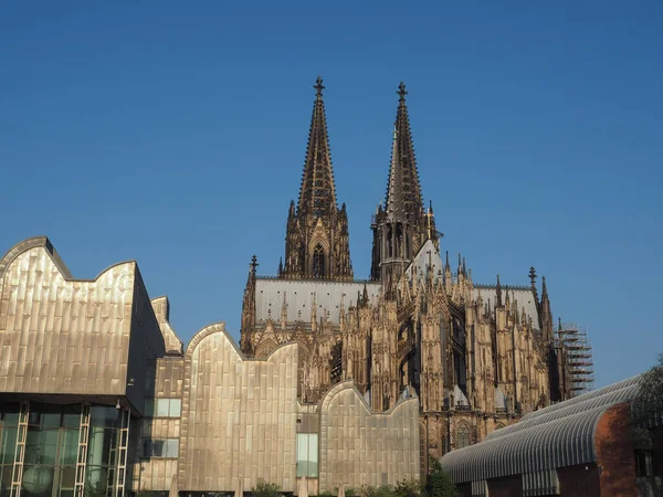 Koeln'deki Aziz Peter Katedrali — Stok fotoğraf