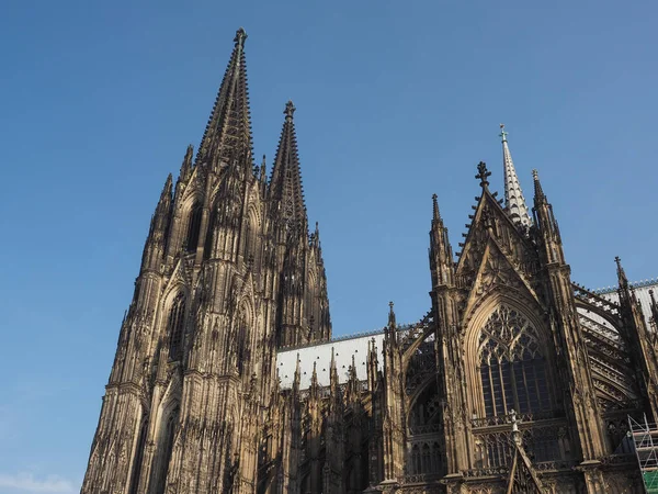 Sankt Peter Katedralen i Koeln - Stock-foto