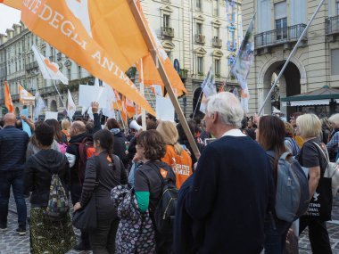 Lav (Anti-Viviseksiyon Topluluğu) Makao 'yu kurtarmak için şiddet içermeyen protesto