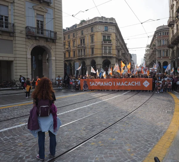 LAV (Anti-Vivisection Society) protesto não violento para salvar macaqu — Fotografia de Stock