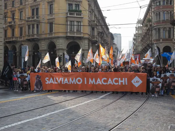 LAV (Anti-Vivisection Society) protesto não violento para salvar macaqu — Fotografia de Stock