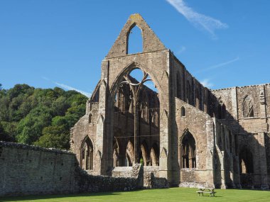 Tintern Manastırı (Abaty Tyndyrn) Tintern içinde