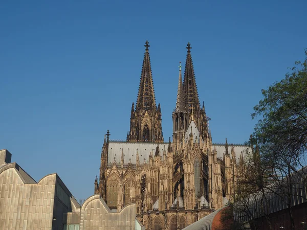 Cattedrale di San Pietro a Koeln — Foto Stock