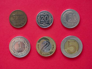 Polonya Zloti paraları, Polonya