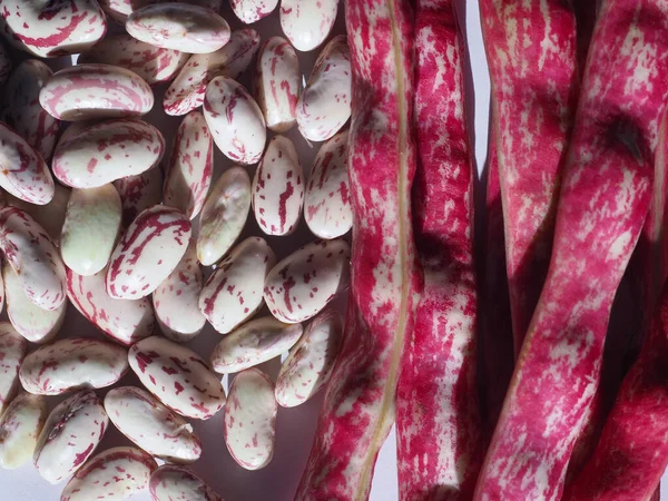 Crimson beans legumes vegetables food — Stock Photo, Image