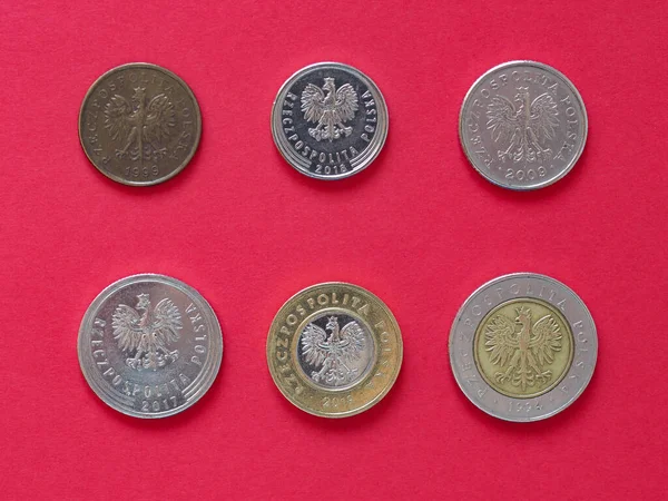 Polska Zloty coins, Poland — стоковое фото