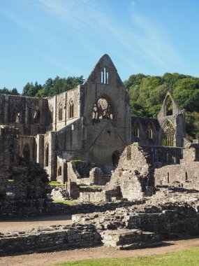 Tintern Manastırı (Abaty Tyndyrn) Tintern içinde