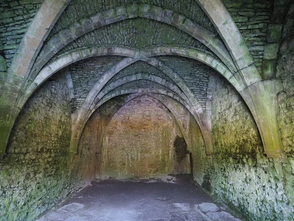 Chepstow Castle ruins in Chepstow — Stock Photo, Image