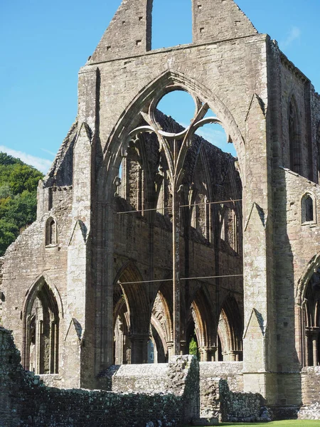 Tintern Abbey (Abaty Tyndyrn) i Tintern — Stockfoto