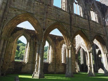 Tintern Manastırı (Abaty Tyndyrn) Tintern içinde