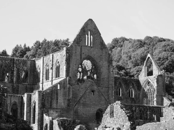 Tintern Abbey Abaty Tyndyrn Welsh Rands Tintern Black White — стокове фото