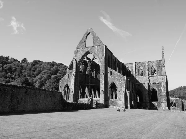 Tintern Royaume Uni Circa Septembre 2019 Ruines Abbaye Tintern Abaty — Photo