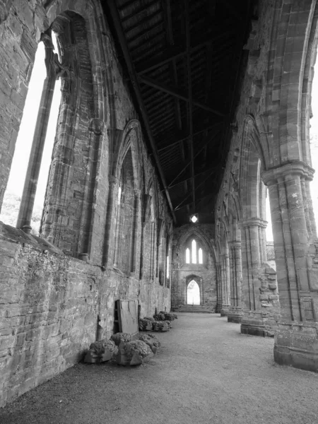 Tintern Circa September 2019 Tintern Abbey Abaty Tyndyrn Het Welsh — Stockfoto