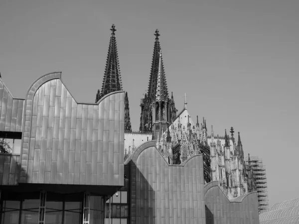 Koeln Alemanha Circa Agosto 2019 Museu Ludwig Para Arte Dos — Fotografia de Stock