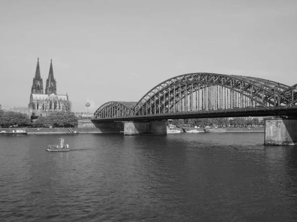 Koeln Tyskland Circa August 2019 Utsikt Över Staden Från Floden — Stockfoto